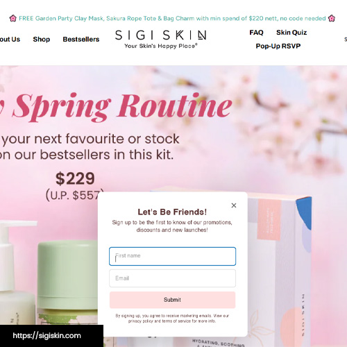 Small screenshot of Sigi Skin site page